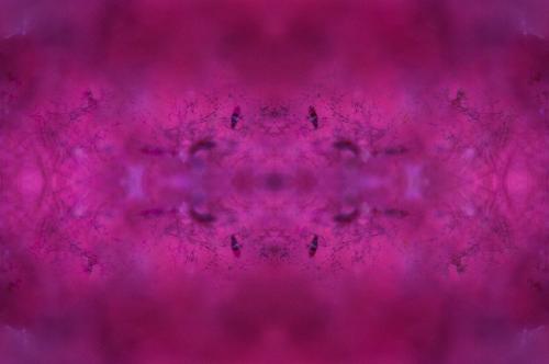 Emergence-2425
