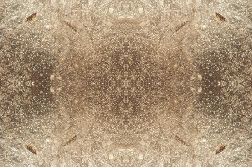 Emergence-2446