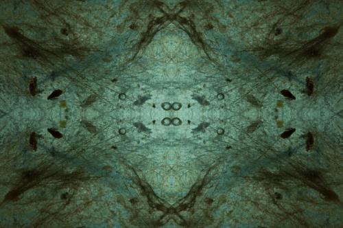 Emergence-2473