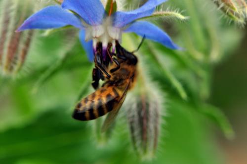 GamesWeekend-2011-09-23 - 142