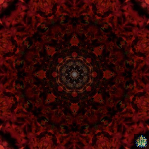 Red Bee Mandala