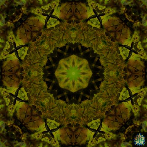 Yellow Bee Mandala 1